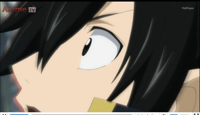 Zeref 21 - MissMisa