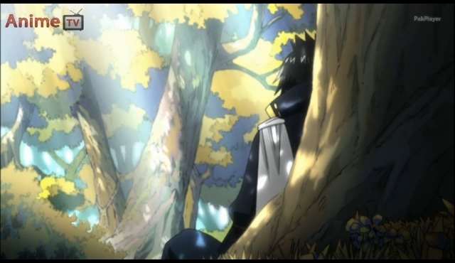 Zeref 25 - MissMisa