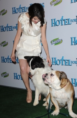normal_107 - Hotel For Dogs Premiere