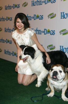 normal_110 - Hotel For Dogs Premiere