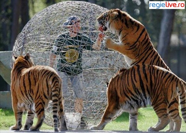 5759-ex4e-oare-stie-ca-noi-putem-intra