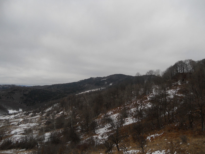 Picture 002 - vanatoare padure