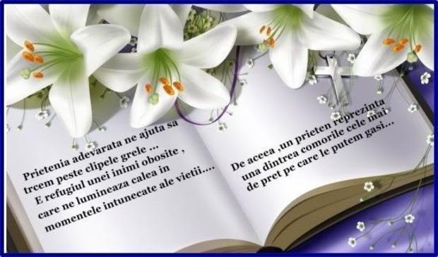 sarbatori-fericite-prieteni-dragi_268fc43e90664d