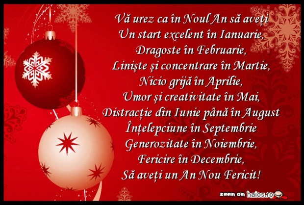un-an-nou-fericit_c1010ead571743