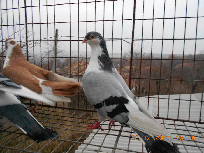DSCN0208