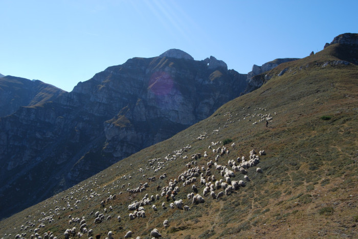 bucegi 383 - bucegi sept 2011