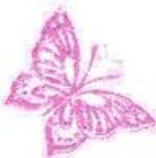 imagesCABRJ8HC - fluturele sperantei