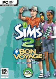 16 - Parole si coduri Sims 2