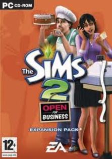 17 - Parole si coduri Sims 2