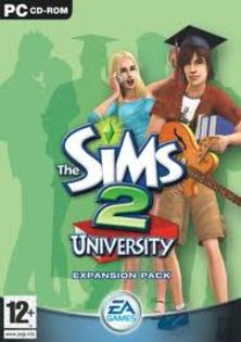 19 - Parole si coduri Sims 2