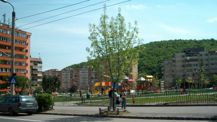 HPIM5499-1