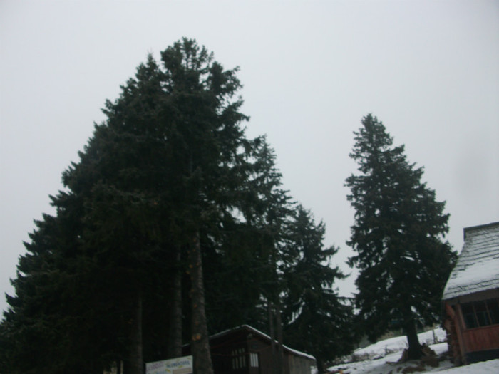 poze 674
