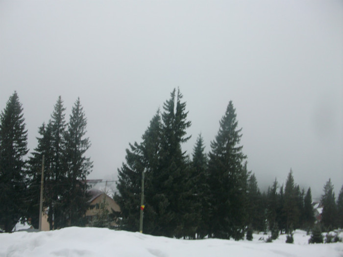 poze 679