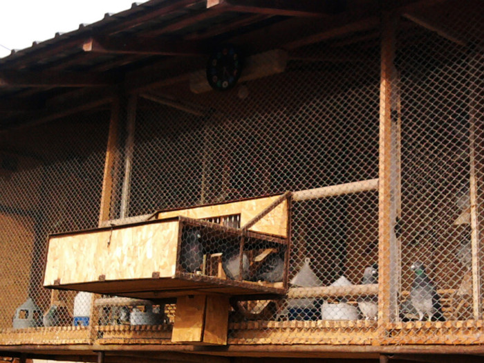 3 compartimente 250cm 250cm 220cm