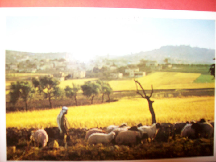 113_2053 ILUSTRATE DIN BETHLEHEM......