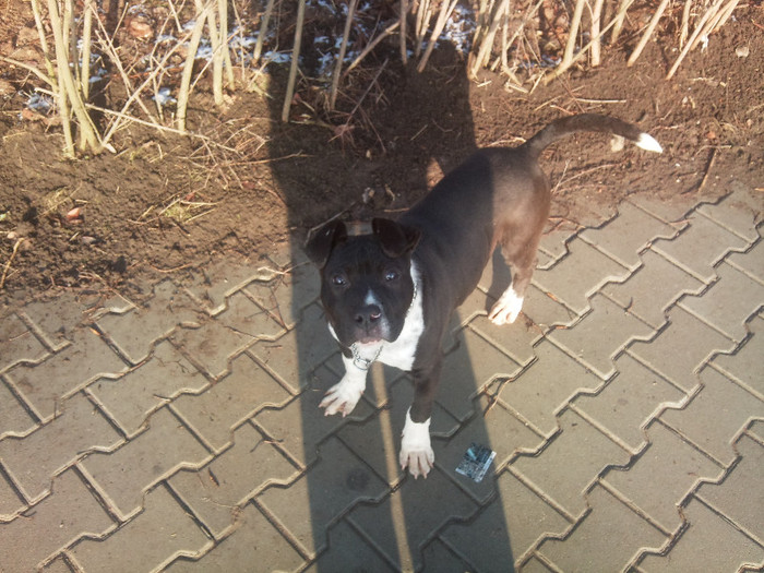 Photo570 - Sara si Leo