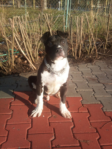 Photo574 - Sara si Leo