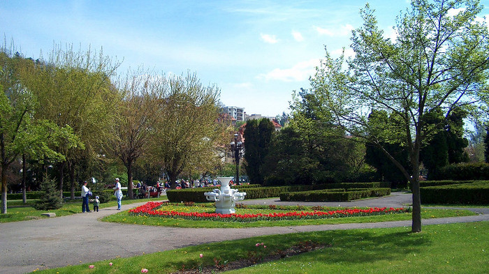 Central Park ando Brassoy Lapok