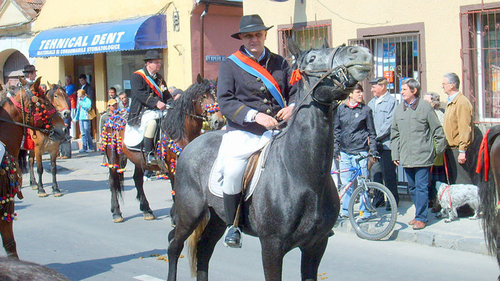 lv1 - BRASOV - Junii din Scheii