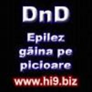dnd1 - poze cu DND