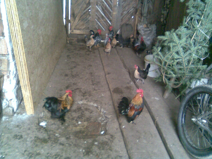 Image078