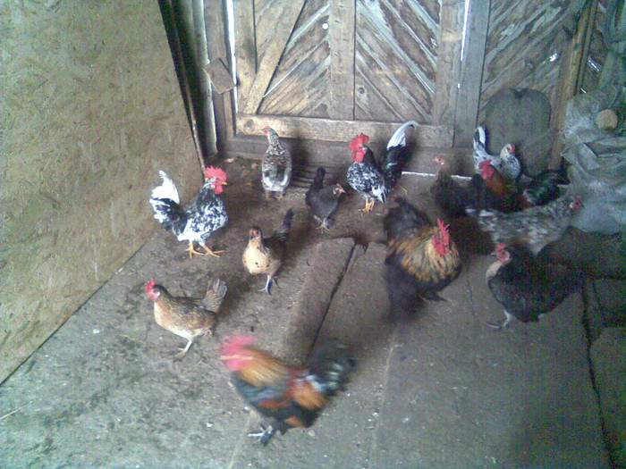 Image095