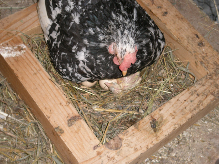 P7100182