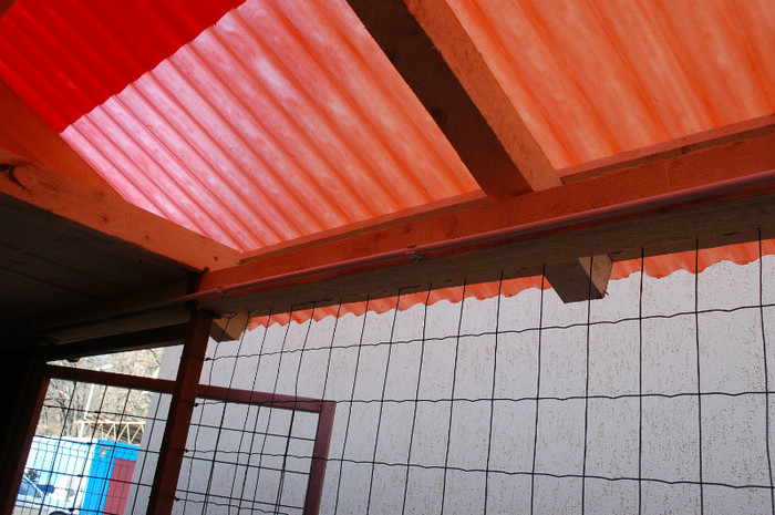 dec.2011 - Voliere-cotete-padoc