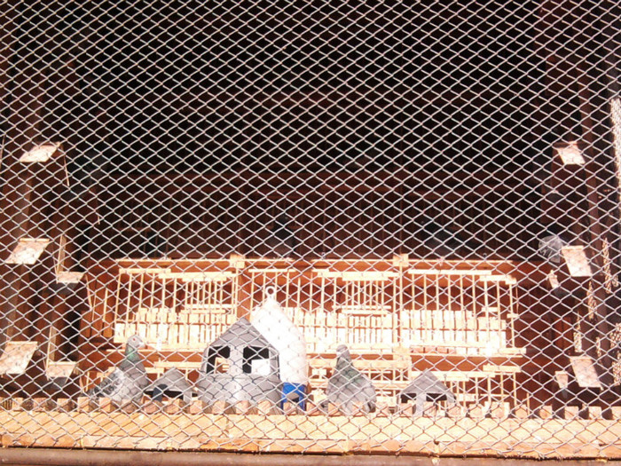 Daca va place?(compartiment MATCA)