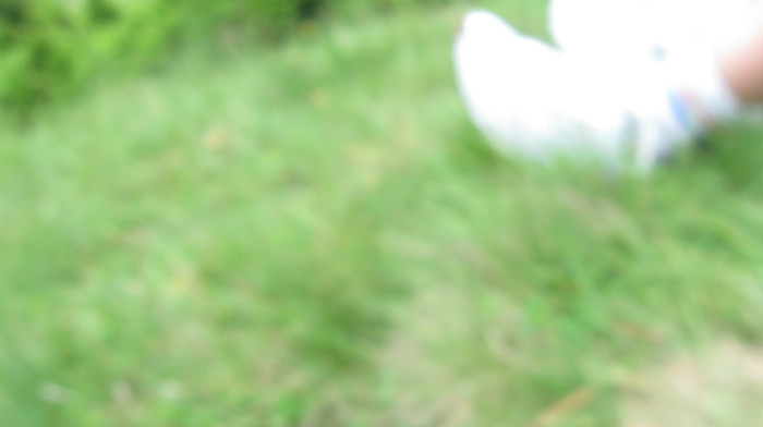 5 iunie 2011 051 - 5 iunie 2011