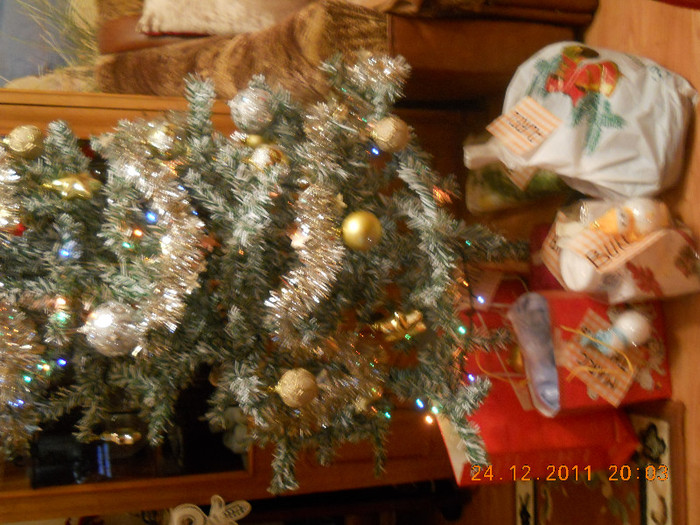 Craciun 24 dec 2011 021