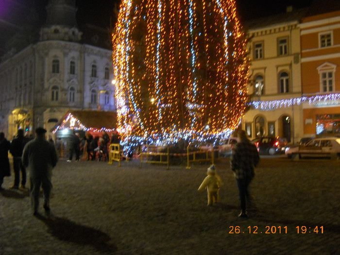 Craciun 24 dec 2011 031
