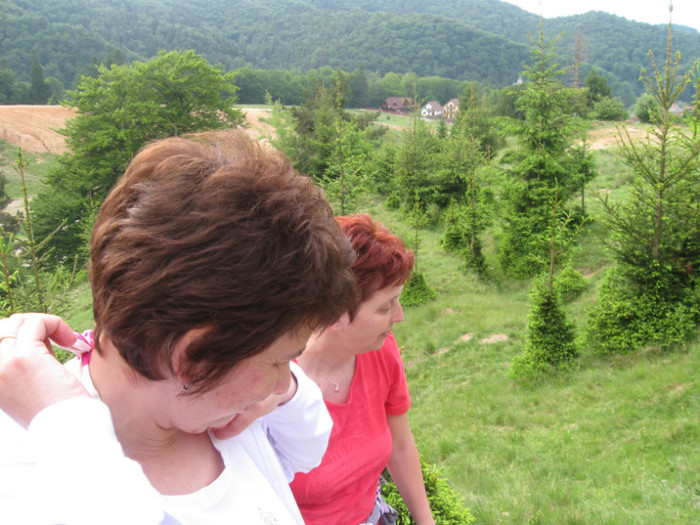 5 iunie 2011 135 - 5 iunie 2011