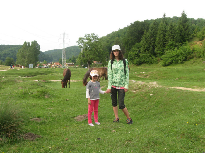 5 iunie 2011 141 - 5 iunie 2011