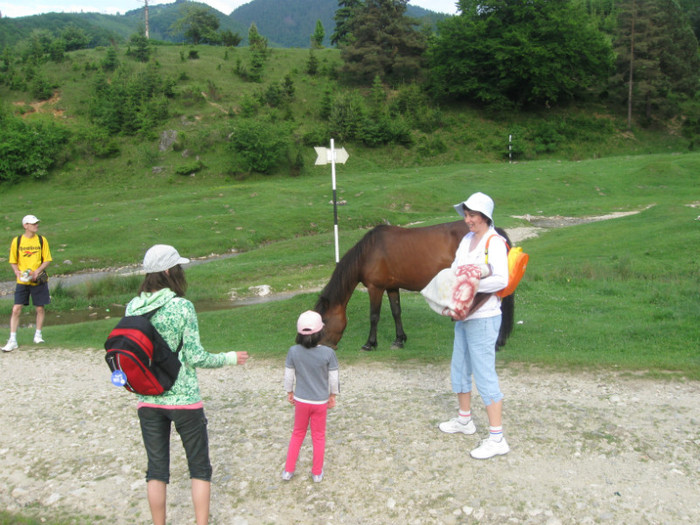 5 iunie 2011 142 - 5 iunie 2011