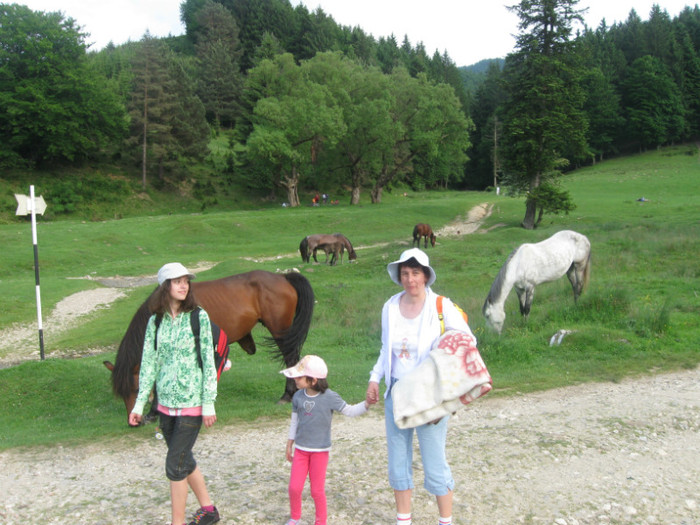 5 iunie 2011 145 - 5 iunie 2011