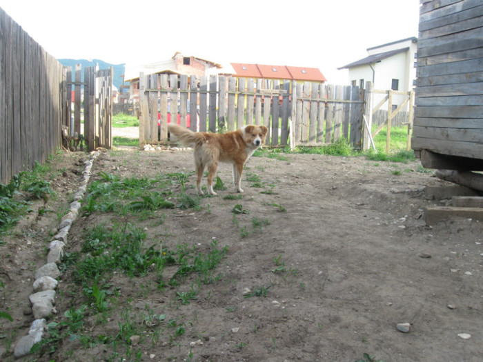 5 iunie 2011 150 - 5 iunie 2011