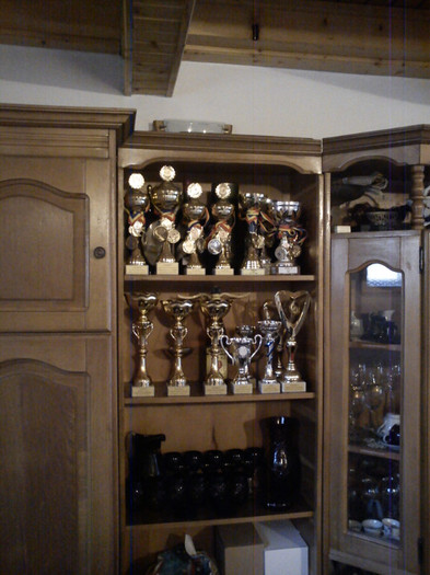 Galeria trofeelor