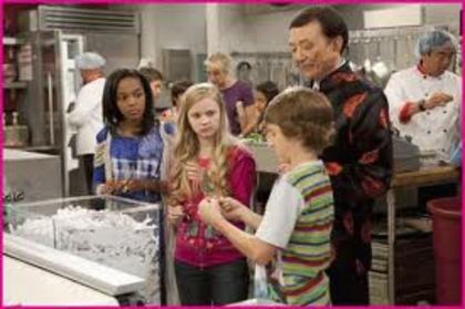 images - ANT farm