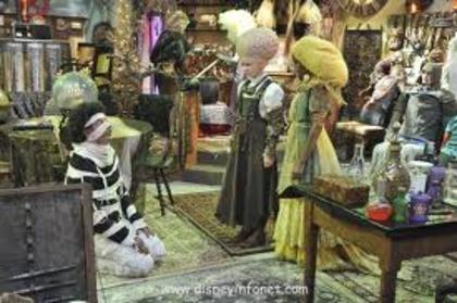 images - ANT farm