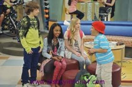 images - ANT farm
