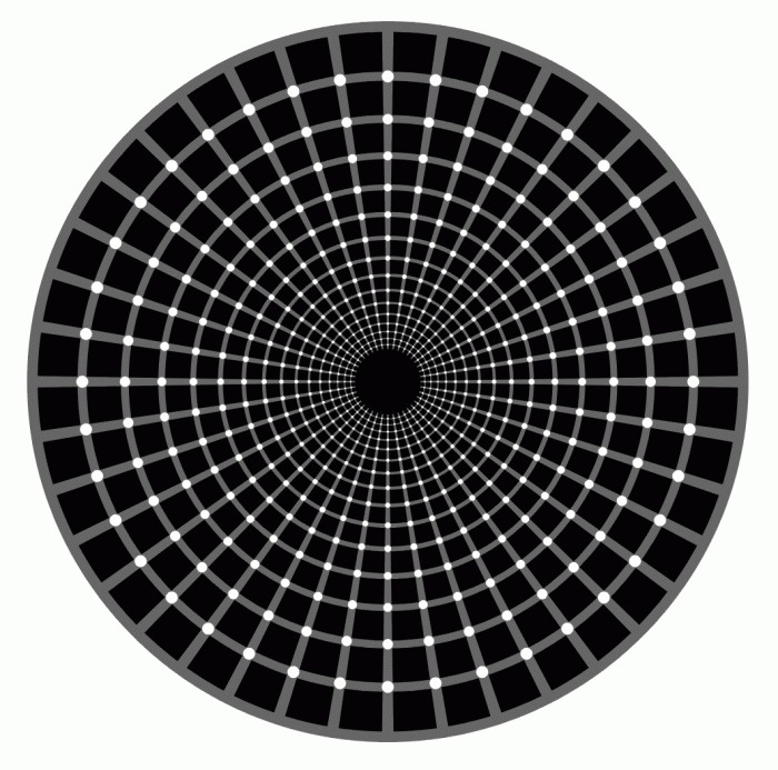 Cercul lui Hermann - Iluzii optice
