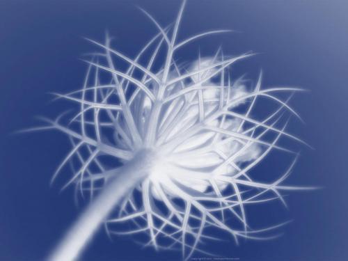 Abstract Wallpapers Poze Dincolo de Eternitate[1] - de toate pentru toti