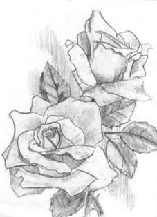 tuyrtu - de toate pentru toti