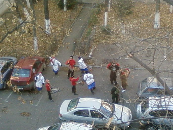 datina strabuna 2011