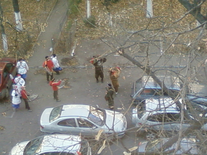 datina strabuna 2011