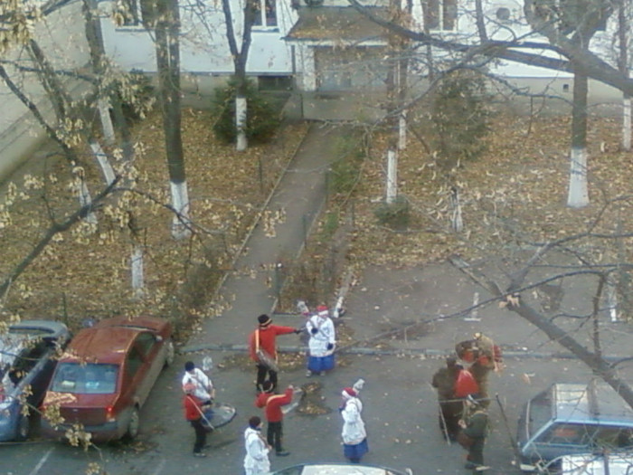 datina strabuna 2011