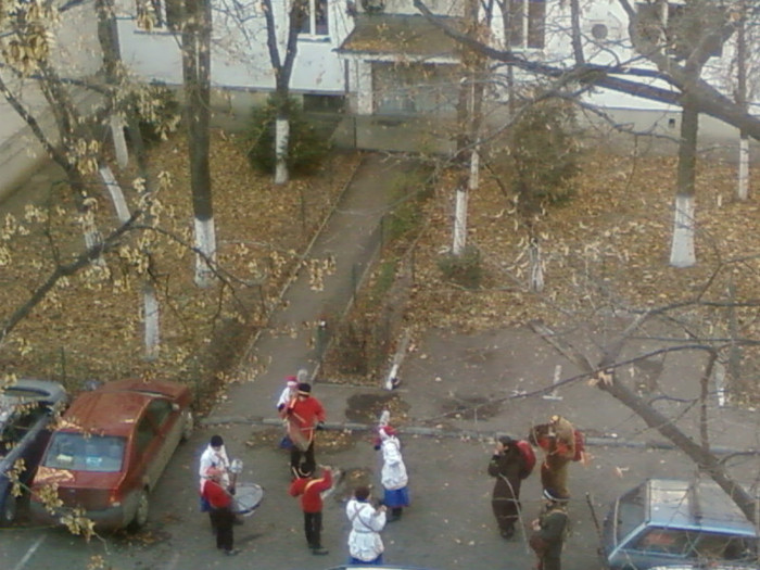 datina strabuna 2011