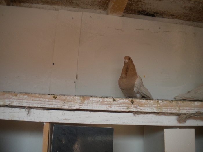ian 2012 066
