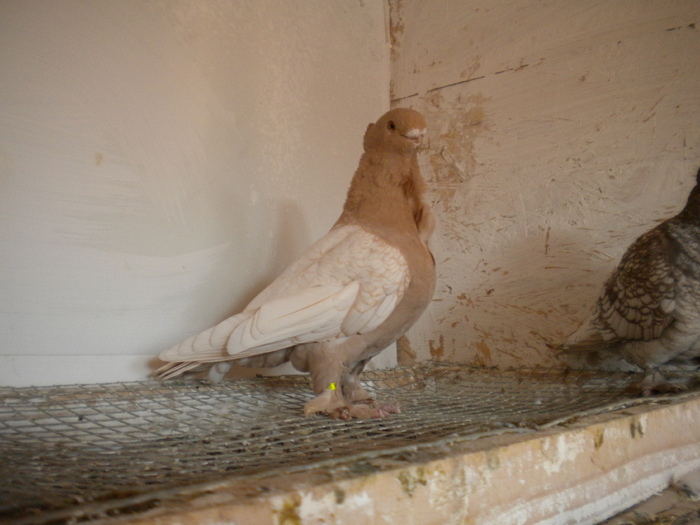 ian 2012 069